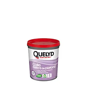 Colle Quelyd pour Dalles de plafond Pâte 1 kg