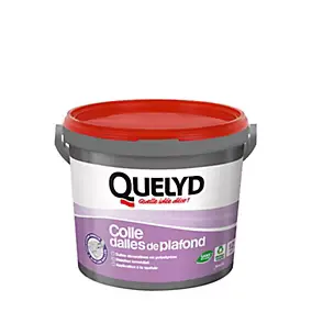 Colle Quelyd pour Dalles de plafond Pâte 4 kg