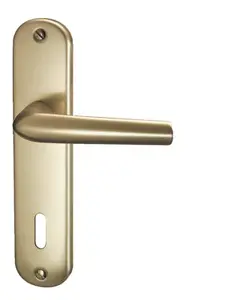 Poignée de porte "MONDIAL" 165 mm
