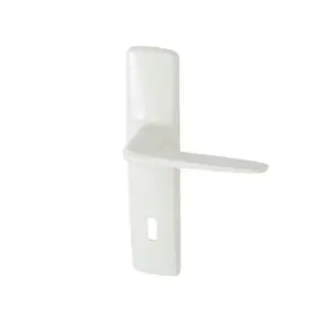 Ensemble de poignée de porte TS entraxe 165 mm