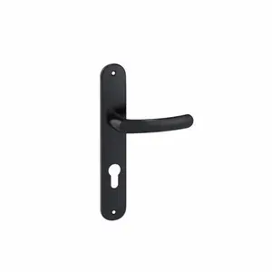 Ensemble de poignée porte BUDGET EA195 ONYX TCY noir entraxe 195 mm