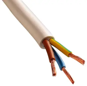 Câble électrique H05VVF 3G1mm² blanc - 10 m