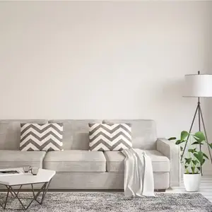 Peinture murs, plafonds 2 en 1 avec sous-couche intégrée blanc satin - pot 12L