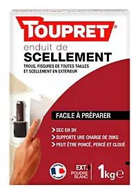 Enduit de scellement extérieur poudre blanc Toupret 1kg