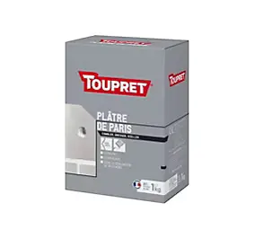 Plâtre de Paris en poudre extra fine blanc boite de 1Kg Toupret