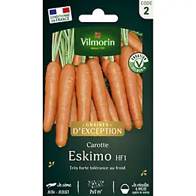 Carotte Eskimo HF1 en graines Vilmorin