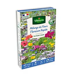 Graines mélange de fleurs floraison rapide Vilmorin 25m²