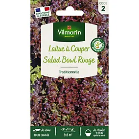Graines laitue à couper variété salad bowl rouge Vilmorin
