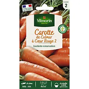 Graines de carottes de Colmar variété à cœur rouge 2 Vilmorain