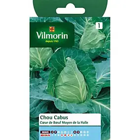 Graines de chou cabus variété "Coeur de Boeuf Moyen de la Halle" Vilmorin semis de janvier à février et d'août à septembre