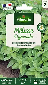 Graines de mélisse variété "Officinale" Vilmorin semis d'avril à juin