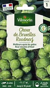 Graines de chou de Bruxelles variété "Sanda" Vilmorin semis de mars à juin