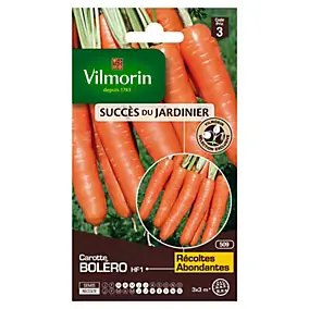 Graines de carotte variété "Boléro HF1" Vilmorin semis de mars à juillet