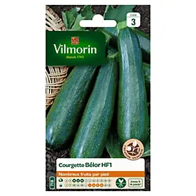 Graines de courgette variété "Belor HF1" Vilmorin semis de mars à mai