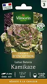 Graines de laitue variété "Batavia Kamikaze" Vilmorin semis de mars à août
