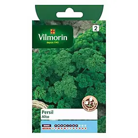 Graines de persil variété "Alto" Vilmorin semis de février à septembre