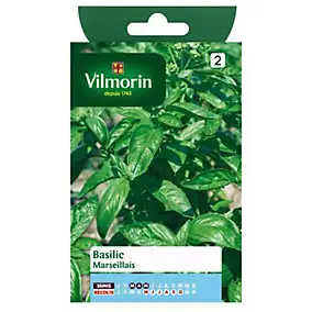 Graines de basilic variété "Marseillais" Vilmorin semis de mars à mai