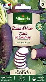 Graines de radis variété "Violet de Gournay" Vilmorin semis de juin à août