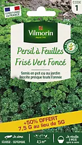 Graines de Persil Frisé Vert Foncé Vilmorin
