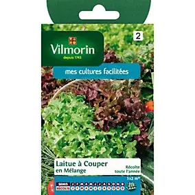 Graines de laitue variété "Bowl verte et rouge" Vilmorin semis toute l'année