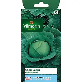 Graines de chou cabus variété "Brunswick" Vilmorin semis de mai à août