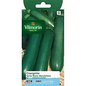 Graines de courgette variété "Verte Noire Maraîchère" Vilmorin semis de mars à mai