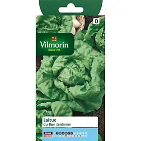Graines de laitue variété "Du bon jardinier" Vilmorin semis de février à juillet