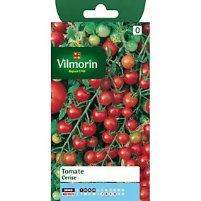 Graines de tomate variété "Cerise" Vilmorin semis de février à mai