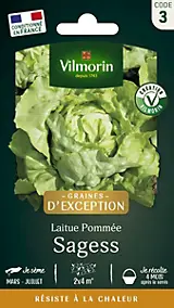 Graines de laitue variété "Sagess" Vilmorin semis de février à août