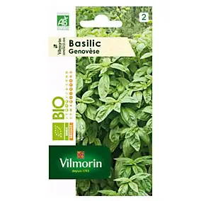 Graines de basilic bio variété "Genovèse" Vilmorin semis de mars à mai