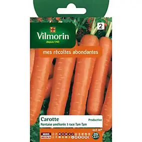 Graines de carotte variété "Nantaise Améliorée 3 Tam Tam" Vilmorin semis de mars à juillet