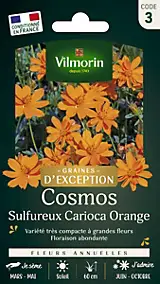Graines de Cosmos Sulphureus Carioca