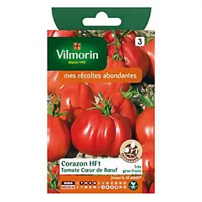 Graines de tomate variété "Cœur de bœuf Corazon HF1" Vilmorin semis de février à mai
