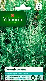 Graines de romarin variété "Officinal" Vilmorin semis d'avril à juin