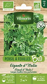 Graines de persil bio variété "Géant d'Italie" Vilmorin semis de février à septembre