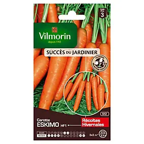 Graines de carotte variété "Eskimo HF1" Vilmorin semis de juin à juillet