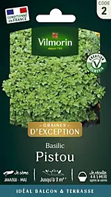 Graines de basilic variété "Pistou" Vilmorin semis de mars à mai