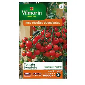 Graines de tomate variété "Sweetbaby" Vilmorin semis de février à mai