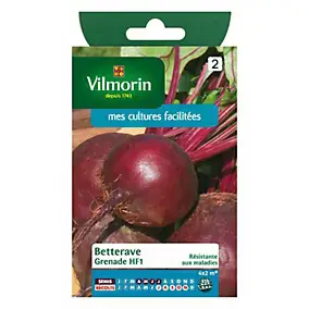 Graines de betterave variété "Grenade HF1" Vilmorin semis d'avril à juillet