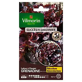 Graines de laitue variété "Grenadine" Vilmorin semis de février à juillet
