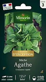 Graines de mâche variété "Agathe" Vilmorin semis de juillet à octobre
