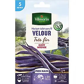 Graines de haricot nain variété "Velour" Vilmorin semis d'avril à juillet