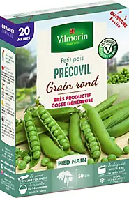 Graines de petit pois variété "Précovil" Vilmorin semis de février à avril et d'octobre à novembre