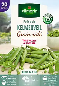 Graines de petit pois variété "Kelmerveil" Vilmorin semis de mars à juin