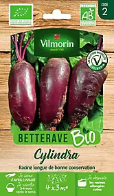 Graines de betterave bio variété "Cylindra" Vilmorin semis d'avril à juillet