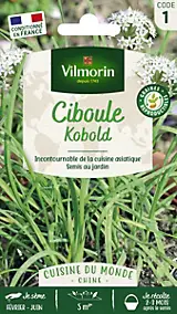 Graines de ciboule variété "Chine Kobold" Vilmorin semis de février à mai et de septembre à octobre