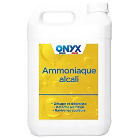 Ammoniaque alcali textile et carrelage Onyx bricolage 5L
