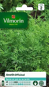 Graines d'aneth variété "Officinal" Vilmorin semis d'avril à mai