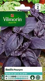 Graines de basilic variété "Pourpre" Vilmorin semis de mars à mai