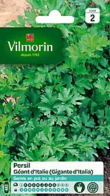 Graines de persil variété "Géant d'Italie" Vilmorin semis de février à septembre